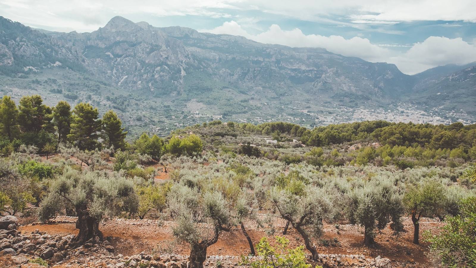 Serra de Tramuntana coastline, Mallorca