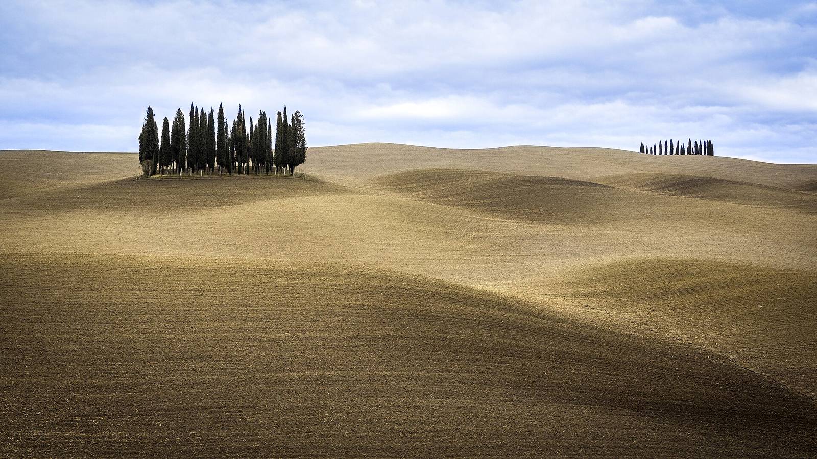 Cypress-lined road in the Val d'Orcia, Tuscany